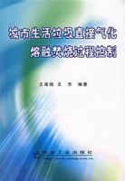 城市生活垃圾直接氣化熔融焚燒過程控制