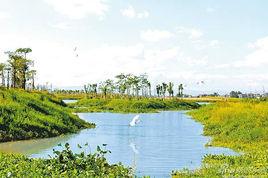 莆田市秀嶼區土海生態濕地公園