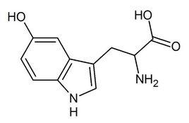 5—HTP