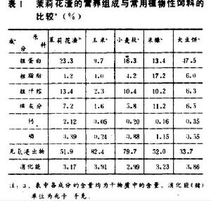 茉莉花渣