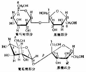 二糖酶缺乏症