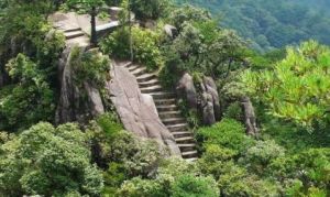 黃山森林公園