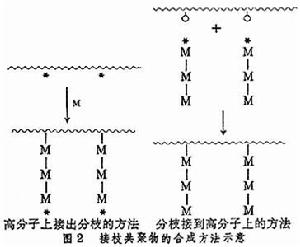 接枝共聚合