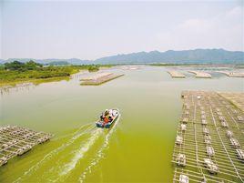 深井鎮[遼寧省朝陽市建平縣深井鎮]