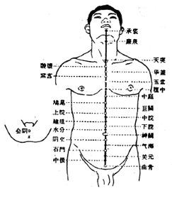 會陰穴