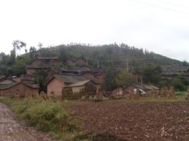 山背後村[雲南曲靖市會澤縣樂業鎮下轄村]