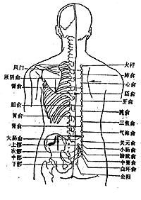 肝俞穴