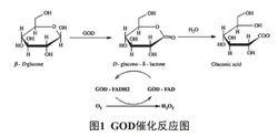 葡糖氧化酶