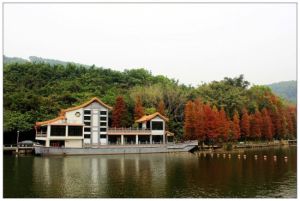 深圳仙湖植物園