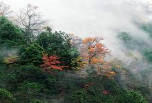 吉林灣溝國家森林公園