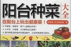 陽台種菜大全