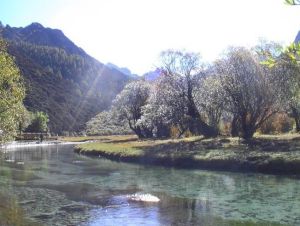 宣漢觀音山森林公園