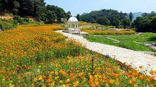 廣州市二龍山國際生態園