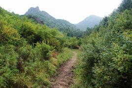 西梁村[山西原平市段家堡鄉下轄村]