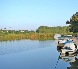 揚州寶應湖國家濕地公園