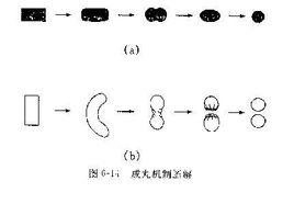 擠出滾圓機