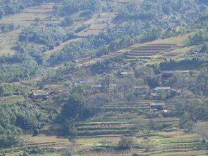 西山柒樹村