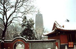 靈光寺[北京市石景山區靈光寺]