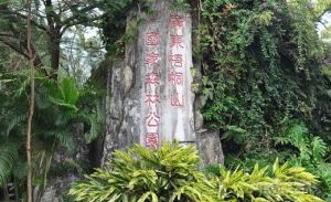 廣東梧桐山國家森林公園