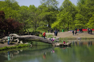 太子灣公園