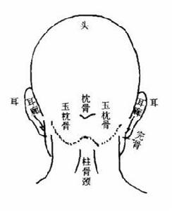 反骨[基礎含義]