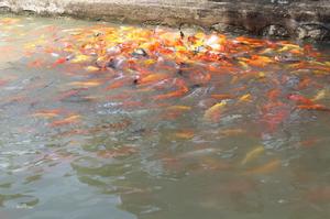 珠海海濱公園景色