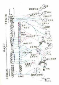 自主神經功能失調