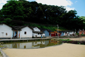 黃花村景照