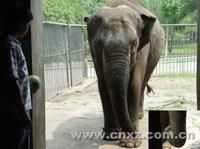 徐州彭園動物園