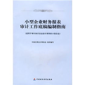 小型企業財務報表審計工作底稿編制指南