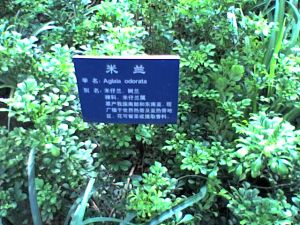 石家莊植物園