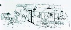 諸葛亮剝蔥圖 (1984年)