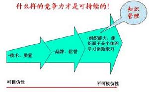 核心競爭力鑽石模型