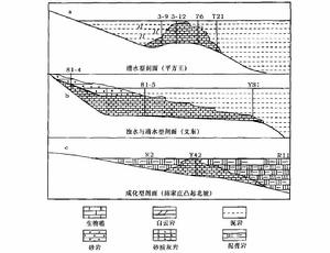 生物礁剖面示意圖