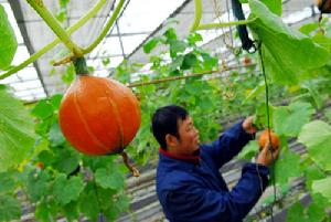 （圖）仰義農業觀光園