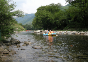 綠野漂流