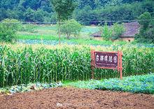 農耕體驗園