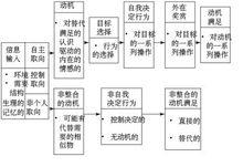 自我決定理論