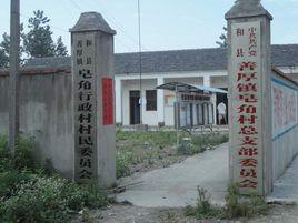 皂角樹村[雲南富源縣古敢水族鄉下轄村]