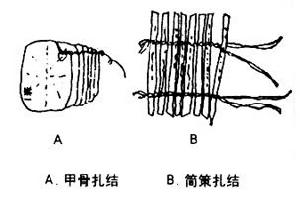 扎結訂