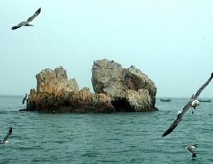 旅順鳥島