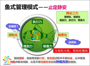 魚式管理三化兩力模型