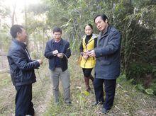 張茂福到陸川縣檢查薇甘菊防治工作