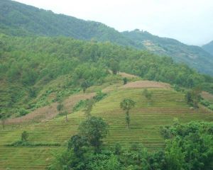 梁子自然村