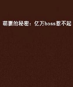 萌妻的秘密：億萬boss惹不起