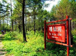 嘎仙洞森林公園