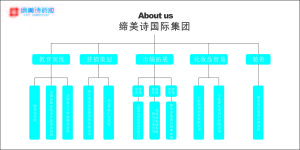 締美詩集團組織架構締美詩集團組織架構