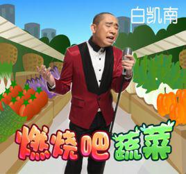 燃燒的蔬菜[白凱南演唱歌曲]