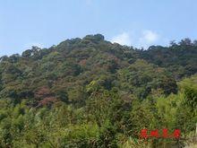 安溪朝天山森林公園