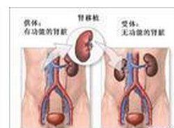 腎上腺危象